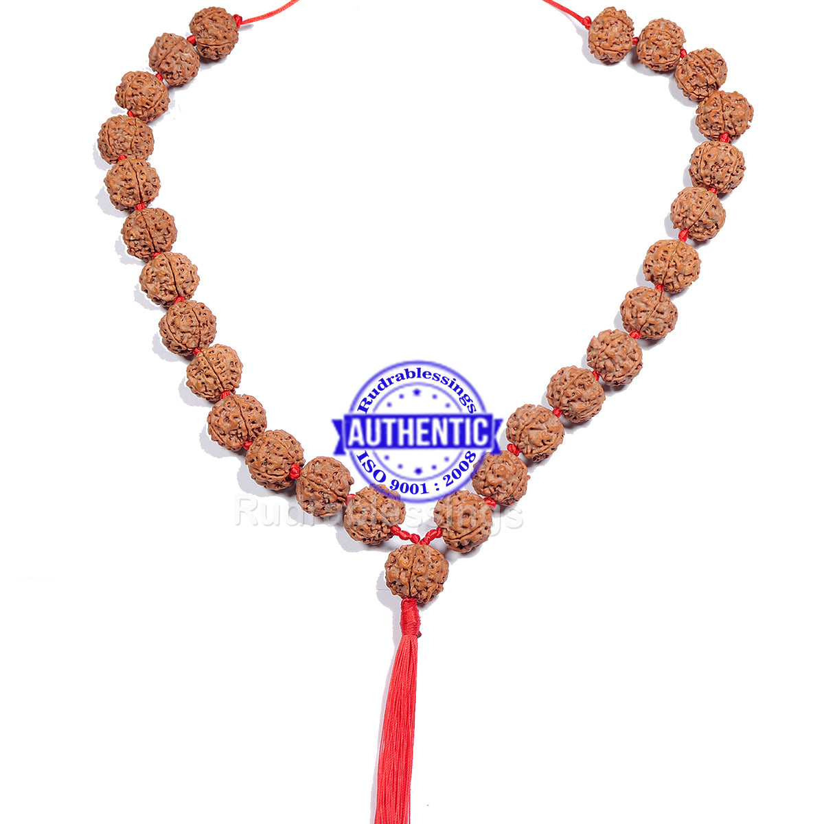 6 Face Rudraksha store Mala, 108 Beads Mala, Nepali Beads Rudraksha, Mala Necklace, Nepali Rudraksha, Prayer Beads Mala, MALA26