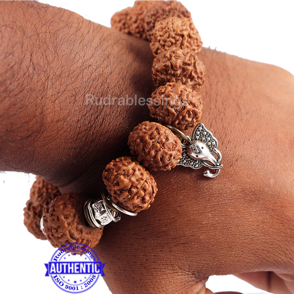  Vado® Rudraksha Bracelet, Stretchable Energized Wrist Band with  5 Mukhi Natural Rudraksh Beads Pack of 1 (9MM, Brown): Clothing, Shoes &  Jewelry