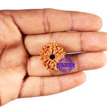 Load image into Gallery viewer, 10 Mukhi Nepalese Rudraksha - Bead No. 417
