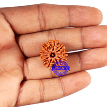 Load image into Gallery viewer, 10 Mukhi Nepalese Rudraksha - Bead No. 425
