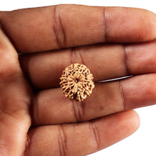 Load image into Gallery viewer, 11 Mukhi Indonesian Rudraksha - Bead No.274
