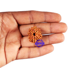 Load image into Gallery viewer, 11 Mukhi Nepalese Rudraksha - Bead No. 375
