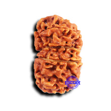 Load image into Gallery viewer, 11 Mukhi Nepalese Rudraksha - Bead No. 375
