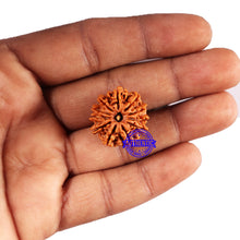 Load image into Gallery viewer, 11 Mukhi Nepalese Rudraksha - Bead No. 377
