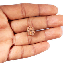 Load image into Gallery viewer, 12 Mukhi Indonesian Rudraksha - Bead No. 312
