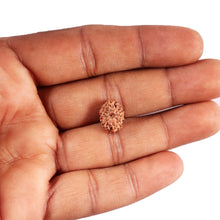 Load image into Gallery viewer, 12 Mukhi Indonesian Rudraksha - Bead No.  320
