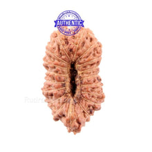 Load image into Gallery viewer, 18 Mukhi Rudraksha from Indonesia - Bead No. 140
