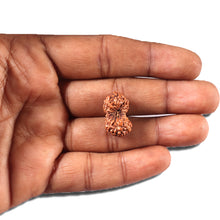 Load image into Gallery viewer, 14 mukhi Indonesian Rudraksha -  Bead No. 333
