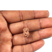 Load image into Gallery viewer, 14 mukhi Indonesian Rudraksha -  Bead No. 355
