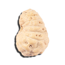 Load image into Gallery viewer, 14 mukhi Indonesian Rudraksha -  Bead No. 350
