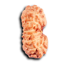 Load image into Gallery viewer, 15 Mukhi Indonesian Rudraksha - Bead No. 265
