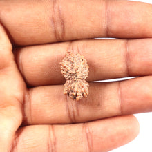 Load image into Gallery viewer, 17 Mukhi Rudraksha from Indonesia - Bead No. 228
