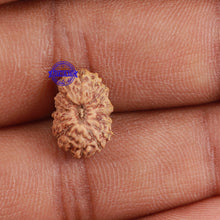 Load image into Gallery viewer, 18 Mukhi Rudraksha from Indonesia - Bead No. 163
