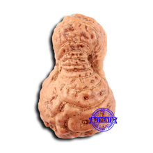 Load image into Gallery viewer, 18 Mukhi Rudraksha from Indonesia - Bead No. 239
