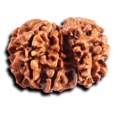 Load image into Gallery viewer, 1 Mukhi Savar Rudraksha from Nepal - Bead No. 87
