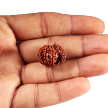 Load image into Gallery viewer, 1 Mukhi Savar Rudraksha from Nepal - Bead No.90
