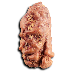 1 Mukhi  Rudraksha from Indonesia - Bead No.177