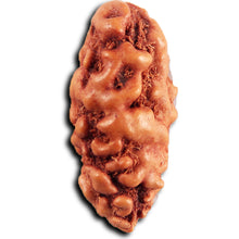 Load image into Gallery viewer, 1 Mukhi  Rudraksha from Indonesia - Bead No.148
