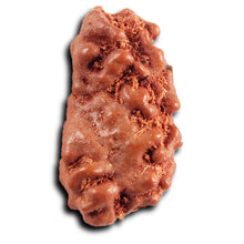 Load image into Gallery viewer, 1 Mukhi  Rudraksha from Indonesia - Bead No.171
