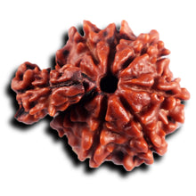 Load image into Gallery viewer, 1 Mukhi Savar Rudraksha from Nepal - Bead No.90
