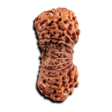 Load image into Gallery viewer, 21 Mukhi Indonesian Rudraksha - Bead No. 143
