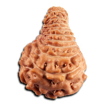 Load image into Gallery viewer, 21 Mukhi Indonesian Rudraksha - Bead No. 150
