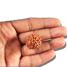 Load image into Gallery viewer, 4 Mukhi Rudraksha from Nepal - Bead No. 358
