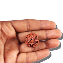 Load image into Gallery viewer, 4 Mukhi Rudraksha from Nepal - Bead No. 359
