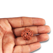 Load image into Gallery viewer, 4 Mukhi Rudraksha from Nepal - Bead No. 369
