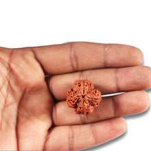 Load image into Gallery viewer, 4 Mukhi Rudraksha from Nepal - Bead No. 375
