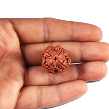 Load image into Gallery viewer, 4 Mukhi Rudraksha from Nepal - Bead No. 380
