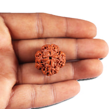 Load image into Gallery viewer, 4 Mukhi Rudraksha from Nepal - Bead No. 392
