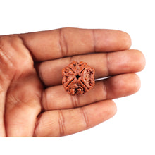 Load image into Gallery viewer, 4 Mukhi Rudraksha from Nepal - Bead No. 354
