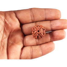 Load image into Gallery viewer, 4 Mukhi Rudraksha from Nepal - Bead No. 353
