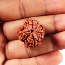 Load image into Gallery viewer, 4 Mukhi Rudraksha from Nepal - Bead No. 425
