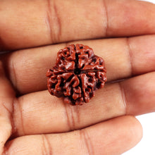 Load image into Gallery viewer, 4 Mukhi Rudraksha from Nepal - Bead No. 440
