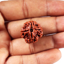 Load image into Gallery viewer, 4 Mukhi Rudraksha from Nepal - Bead No. 444
