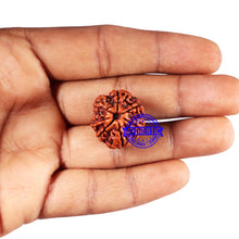 Load image into Gallery viewer, 7 Mukhi Nepalese Rudraksha - Bead No 676
