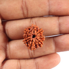 Load image into Gallery viewer, 8 Mukhi Nepalese Rudraksha - Bead No. 397
