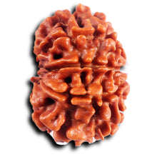 Load image into Gallery viewer, 8 Mukhi Nepalese Rudraksha - Bead No. 397
