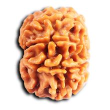 Load image into Gallery viewer, 8 Mukhi Nepalese Rudraksha - Bead No. 400
