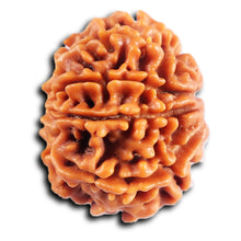 Load image into Gallery viewer, 8 Mukhi Nepalese Rudraksha - Bead No.404
