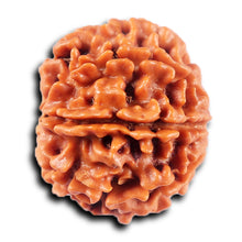 Load image into Gallery viewer, 8 Mukhi Nepalese Rudraksha - Bead No. 425
