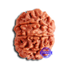 Load image into Gallery viewer, 8 Mukhi Nepalese Rudraksha - Bead No. 375
