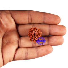 Load image into Gallery viewer, 9 Mukhi Nepalese Rudraksha - Bead No. 418
