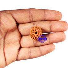 Load image into Gallery viewer, 9 Mukhi Nepalese Rudraksha - Bead No. 425
