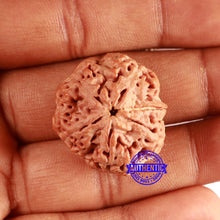 Load image into Gallery viewer, Nepalese Ganesh Rudraksha - Bead No. 263
