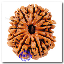 Load image into Gallery viewer, 11 Mukhi Nepalese Rudraksha - Bead No. 7
