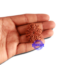 Load image into Gallery viewer, 11 Mukhi Nepalese Rudraksha - Bead No. 315
