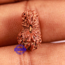 Load image into Gallery viewer, 18 Mukhi Rudraksha from Indonesia - Bead No. 171
